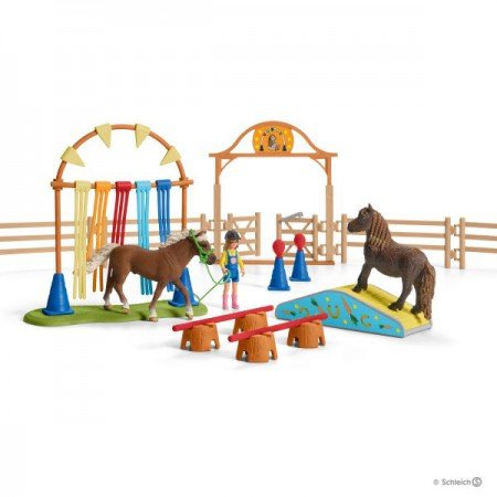 Tegenstander ornament Metalen lijn SCHLEICH® 42481 Pony Behendigheidstraining – Otten Speelgoed 2.0